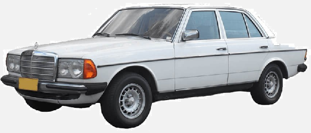 Mercedes W123 Kasa Pedal Lastiği FEBI